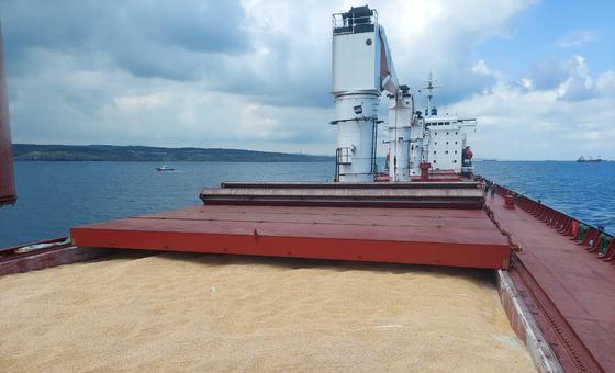 أرشيف: سفينة شحن تنقل آلاف الأطنان من المواد الغذائية